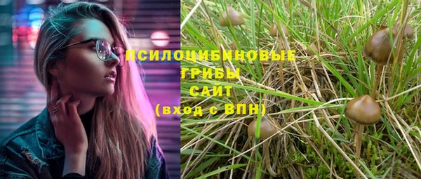 мяу мяу мука Белоозёрский