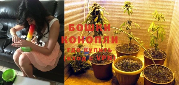 a pvp Белокуриха