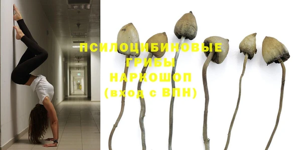мяу мяу мука Белоозёрский