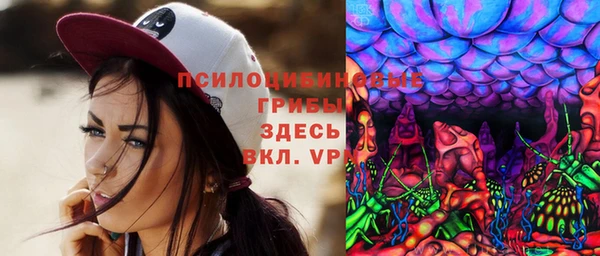 a pvp Белокуриха