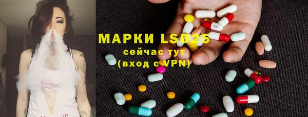 a pvp Белокуриха