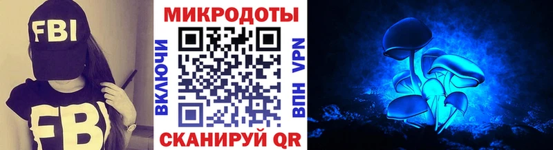 ОМГ ОМГ сайт  купить наркотики цена  Светлогорск  Псилоцибиновые грибы MAGIC MUSHROOMS 